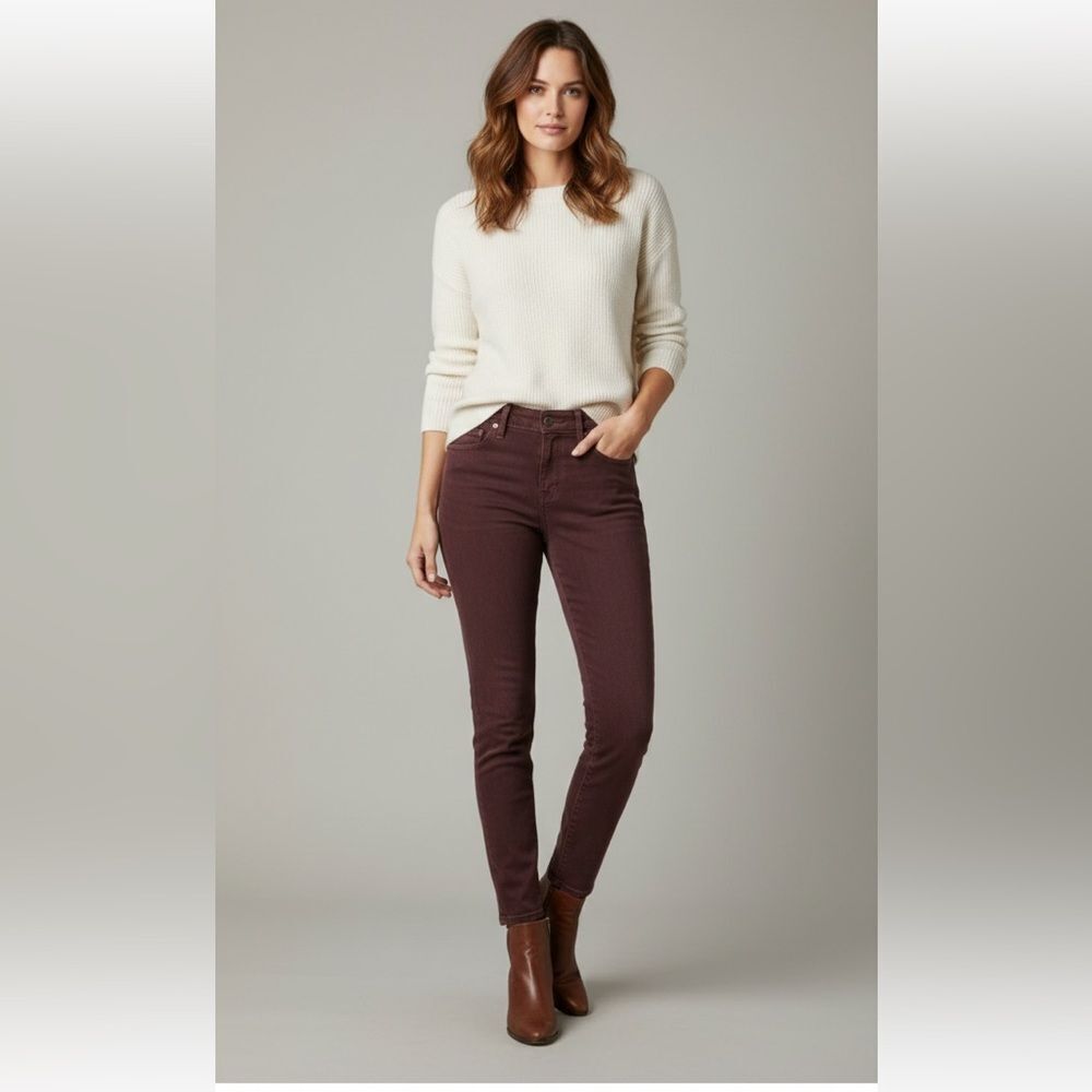 Lila Ryan Skinny Pants Size 30 Brown “Turkish Coffee” Stretch 5-Pocket